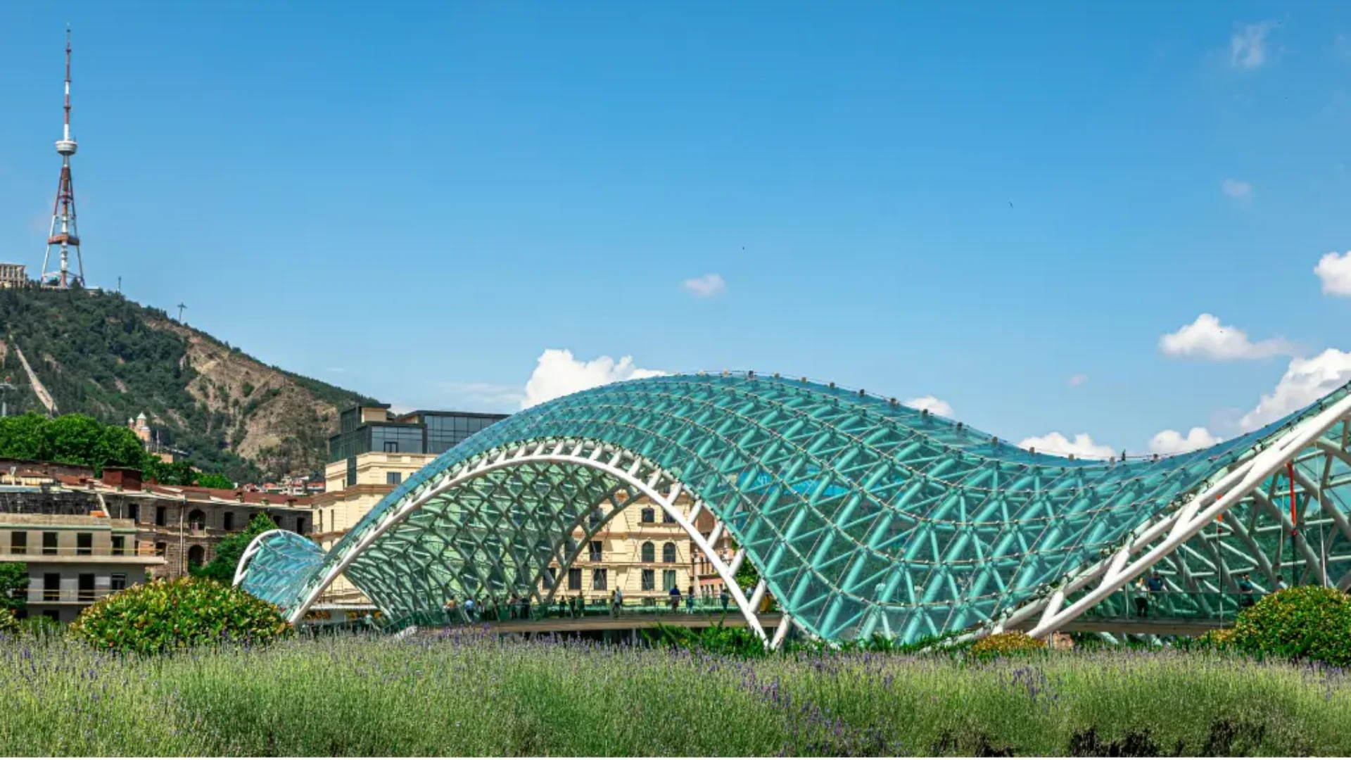 Georgia - tour package image